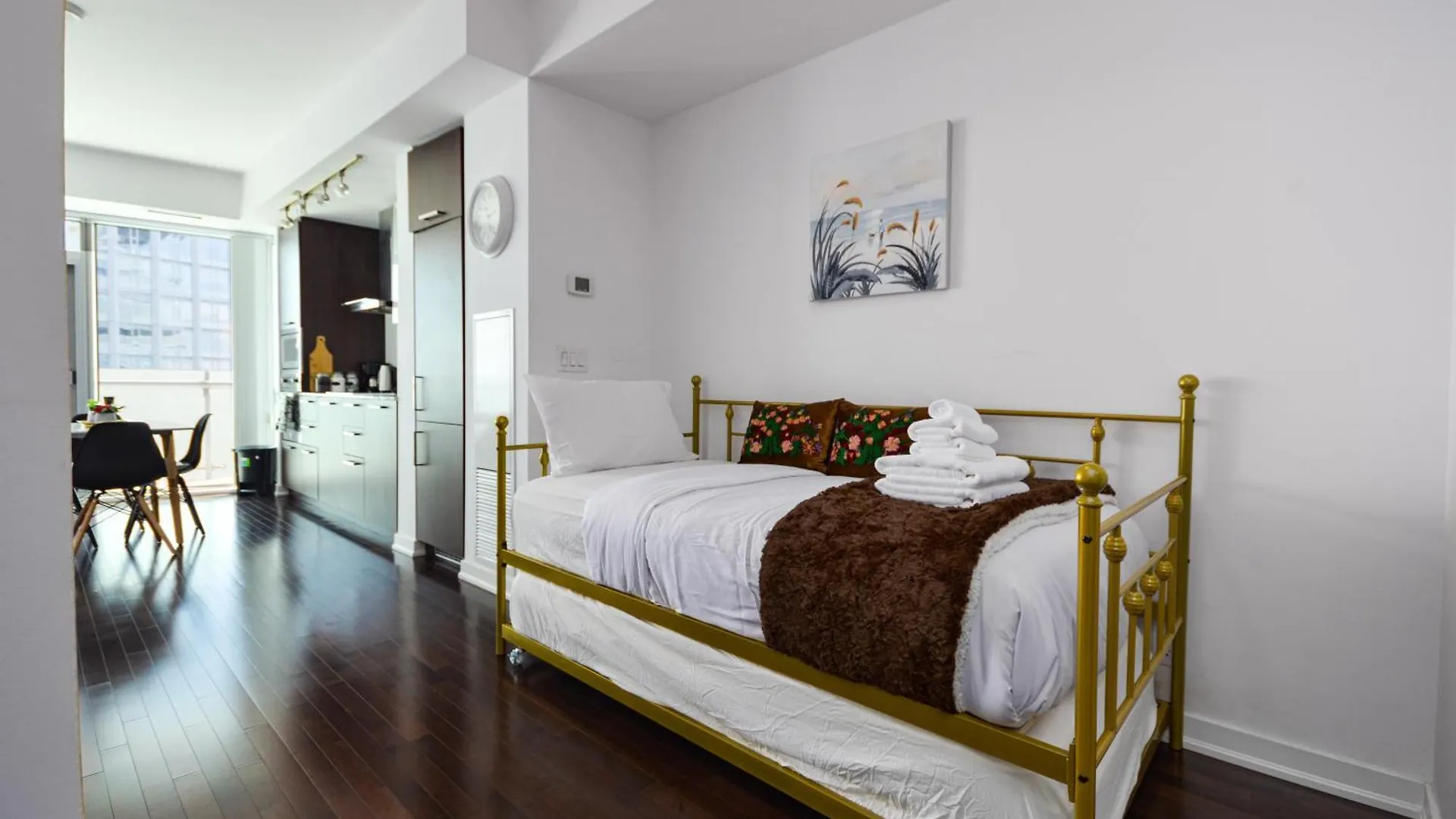 Downtown Toronto Condo Apartment